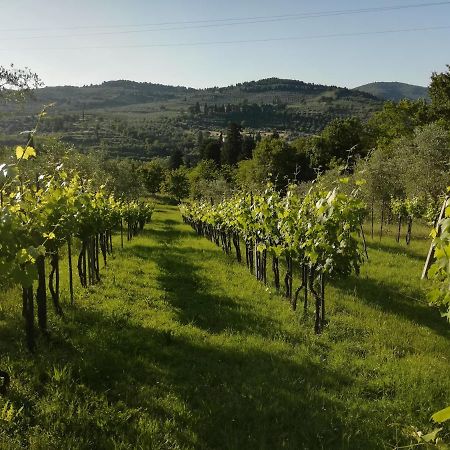 Villa Storica Di Majano Bagno a Ripoli Eksteriør billede