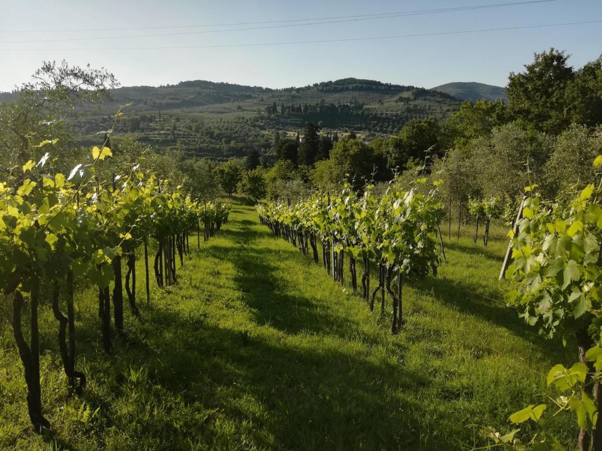 Villa Storica Di Majano Bagno a Ripoli Eksteriør billede